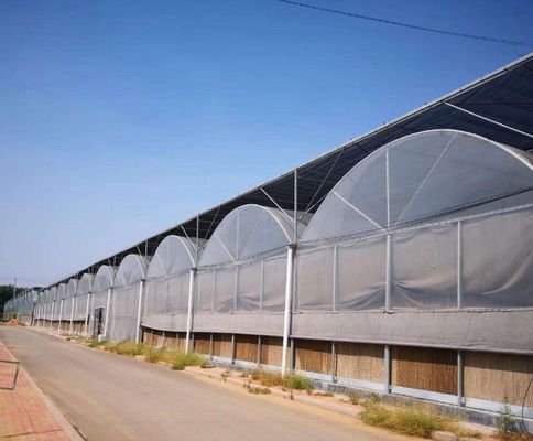 Sistema di serra idroponica multi-span per produzione e sperimentazione commerciale
