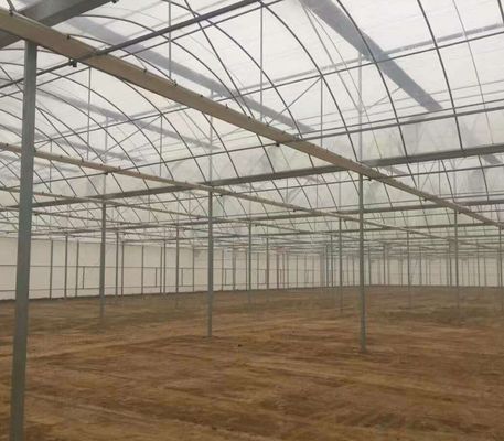 Sistema di serra idroponica multi-span per produzione e sperimentazione commerciale