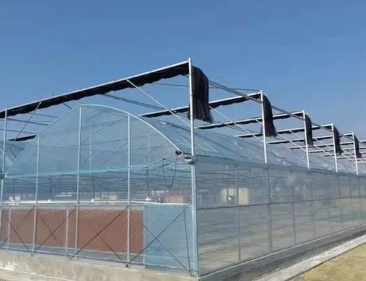 Sistema di serra idroponica multi-span per produzione e sperimentazione commerciale
