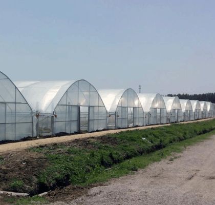 Sistema di serra idroponica multi-span per produzione e sperimentazione commerciale