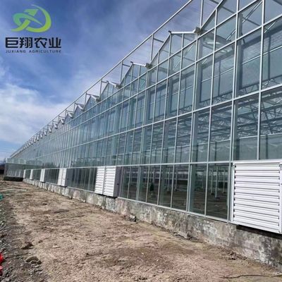 Serra a pannello solare a riscaldamento continuo PC per la coltivazione ecologica di fiori