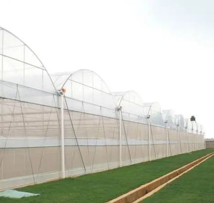 Garanzia di restituzione di 30 giorni Struttura di serra a doppia pellicola anti gocciolante e nebbia jx-fg-001