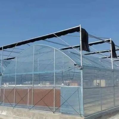 Coltivazione di sementi Juxiang Fiera idroponica film serra con richiesta personalizzata