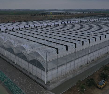 Coltivazione di sementi Juxiang Fiera idroponica film serra con richiesta personalizzata