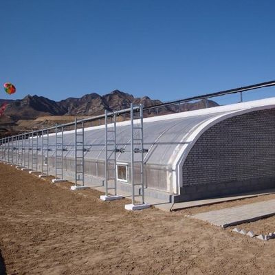 Tubi di acciaio galvanizzati a caldo film agricolo idroponica serre materiale da costruzione