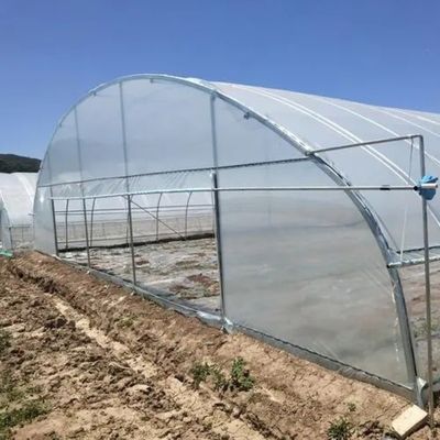 Tubi di acciaio galvanizzati a caldo film agricolo idroponica serre materiale da costruzione