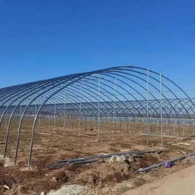 Tubi di acciaio galvanizzati a caldo film agricolo idroponica serre materiale da costruzione