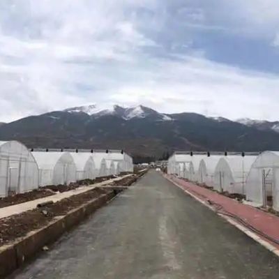 Tubi di acciaio galvanizzati a caldo film agricolo idroponica serre materiale da costruzione