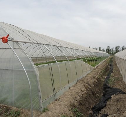 Serra a pellicola anti gocciolazione per i fiori Metodo di riscaldamento temporaneo incluso