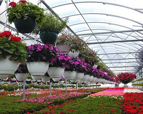 Serra a pellicola anti gocciolazione per i fiori Metodo di riscaldamento temporaneo incluso