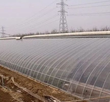 Serra a pellicola anti gocciolazione per i fiori Metodo di riscaldamento temporaneo incluso