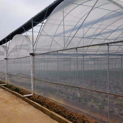Serra a pellicola anti gocciolazione per i fiori Metodo di riscaldamento temporaneo incluso