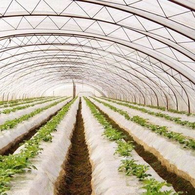 Sistema idroponico personalizzabile per verdure e fiori su misura per le vostre esigenze