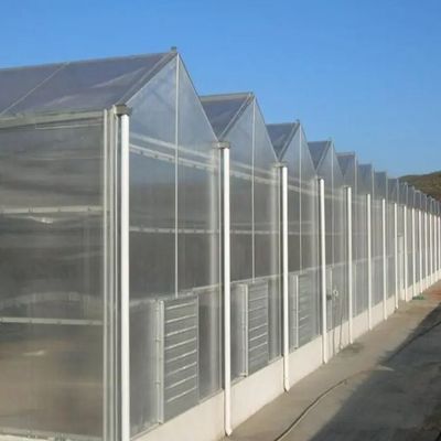 Sistema idroponico personalizzabile per verdure e fiori su misura per le vostre esigenze