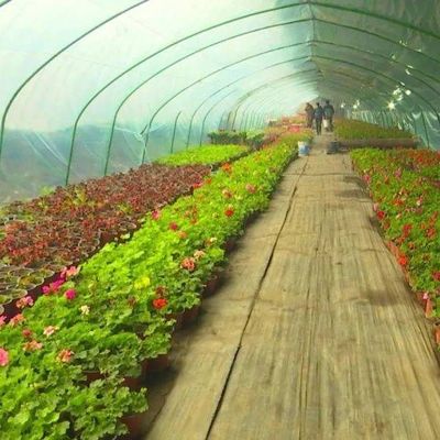 Sistema idroponico personalizzabile per verdure e fiori su misura per le vostre esigenze