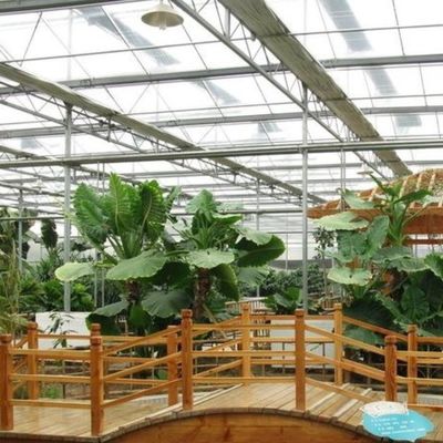 Juxiang foglio PC Board Greenhouse per sistemi di coltivazione idroponica fragole personalizzato