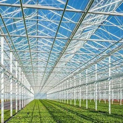 Juxiang foglio PC Board Greenhouse per sistemi di coltivazione idroponica fragole personalizzato