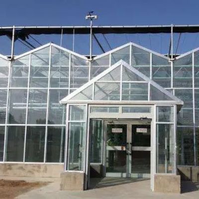 Juxiang foglio PC Board Greenhouse per sistemi di coltivazione idroponica fragole personalizzato