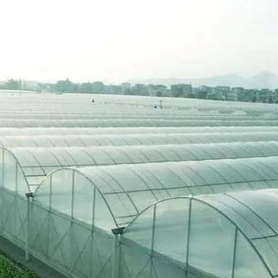 Serra di controllo dell'umidità multi-span di Juxiang per peperoncini