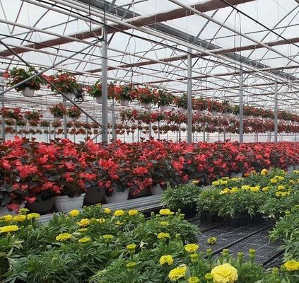 Sistema idroponico a panella singola per la produzione di ortaggi in serra