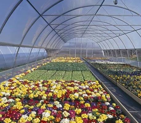 Sistema idroponico a panella singola per la produzione di ortaggi in serra