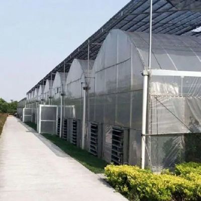 Sistema idroponico multi-span Juxiang Serra di umidità per fiori Restituzione