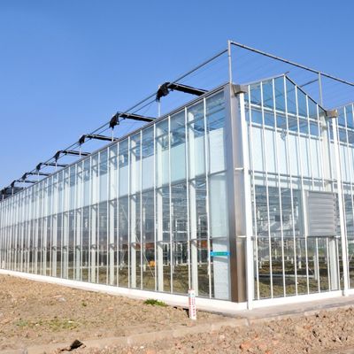 Serre di vetro per semini di lunghezza multipla per il riscaldamento dell'acqua calda per il controllo dello stroma idroponico