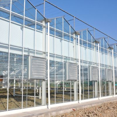 Serre di vetro per semini di lunghezza multipla per il riscaldamento dell'acqua calda per il controllo dello stroma idroponico