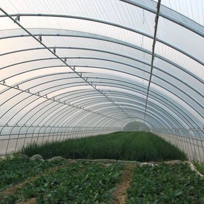 Stati Uniti Serra idroponica a arco singolo per la produzione di pepe Peso lordo 2000.000 kg