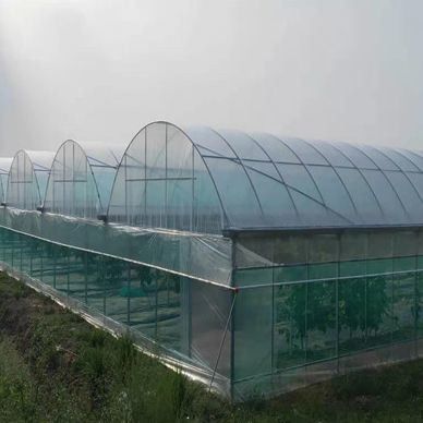 Stati Uniti Serra idroponica a arco singolo per la produzione di pepe Peso lordo 2000.000 kg