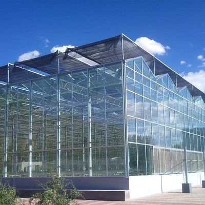 Serra con tetto a vari intervalli a umidità controllata in stile Venlo per piantine idroponiche
