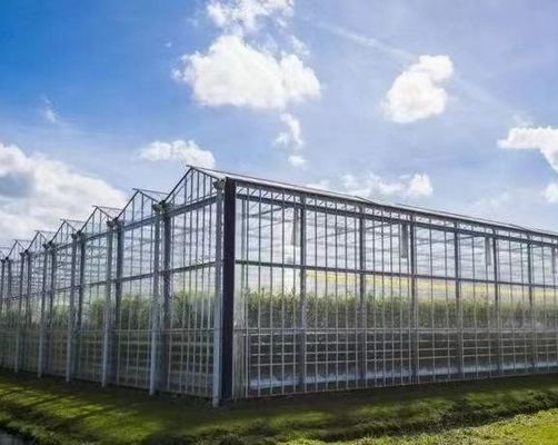 Origine Serra di vetro per ortaggi e fiori con metodo di coltivazione idroponica