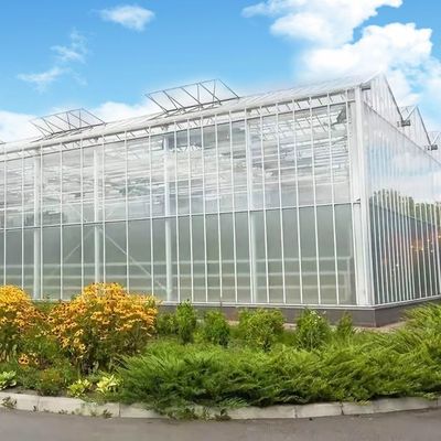 Personalizzazione di serre in vetro multi-spano ecologica e tempi di consegna stimati