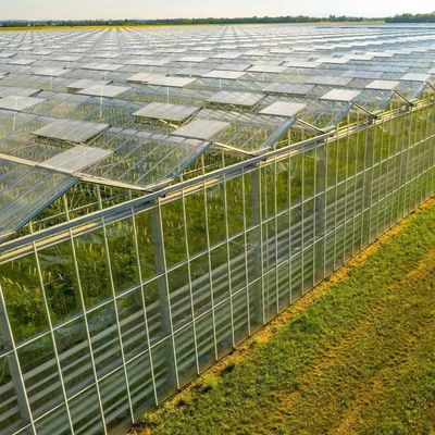 Personalizzazione di serre in vetro multi-spano ecologica e tempi di consegna stimati