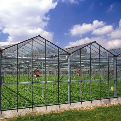 Personalizzazione di serre in vetro multi-spano ecologica e tempi di consegna stimati