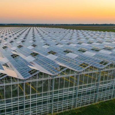 Personalizzazione di serre in vetro multi-spano ecologica e tempi di consegna stimati