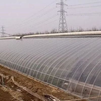 1209cm * 235cm * 239cm Dimensione del pacchetto Serra per la fattoria di pomodori e cetrioli Pagamento completo