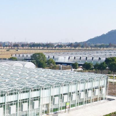 Serra in vetro multifunzione per soluzioni di coltivazione di ortaggi acquaponici personalizzate