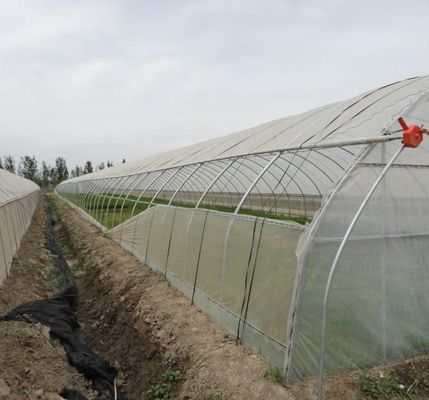 Pagamento iniziale Grande peperoncino e fiore idroponica con serra a pellicola Pagamento completo