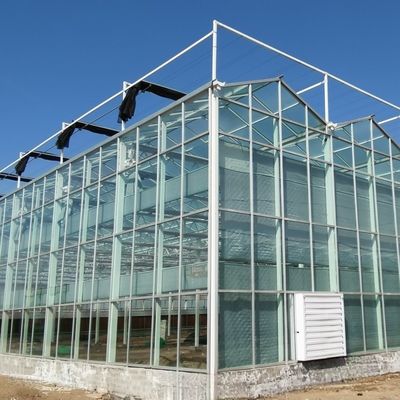 Serra in vetro multifunzione per soluzioni di coltivazione di ortaggi acquaponici personalizzate