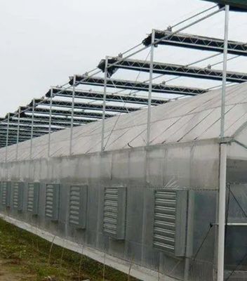 Pagamento iniziale Grande peperoncino e fiore idroponica con serra a pellicola Pagamento completo
