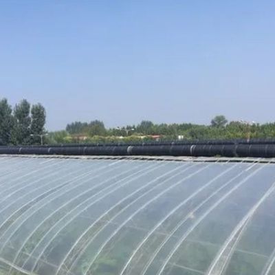 Opzione di personalizzazione Sistema idroponico Juxiang Film serra per la coltivazione di ortaggi