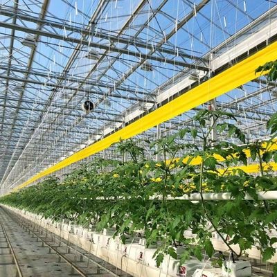 Serra in vetro idroponica per fiori Costo di spedizione e tempo di consegna stimato