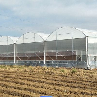Serra a un'unica arcata per la coltivazione dei fiori