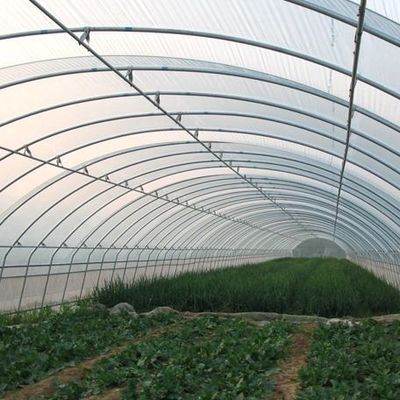 Sistema idroponico a doppia pellicola personalizzabile per la produzione di pepe