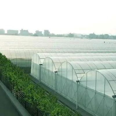 Sistema idroponico a doppia pellicola personalizzabile per la produzione di pepe