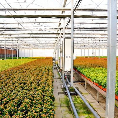 Venlo Serra di vetro per ortaggi Tetti a forma di tetto 30 giorni Rimborsi