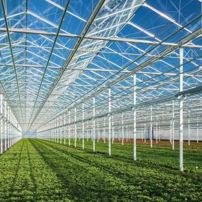 Venlo Serra di vetro per ortaggi Tetti a forma di tetto 30 giorni Rimborsi