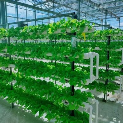 Venlo Serra di vetro per ortaggi Tetti a forma di tetto 30 giorni Rimborsi