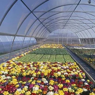Serra a doppio strato per la coltivazione senza suolo di pomodori cetrioli coltivazione di fiori